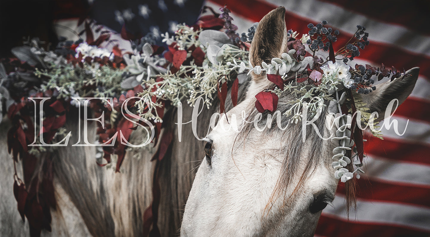 Lea's Red White & Blue Prints