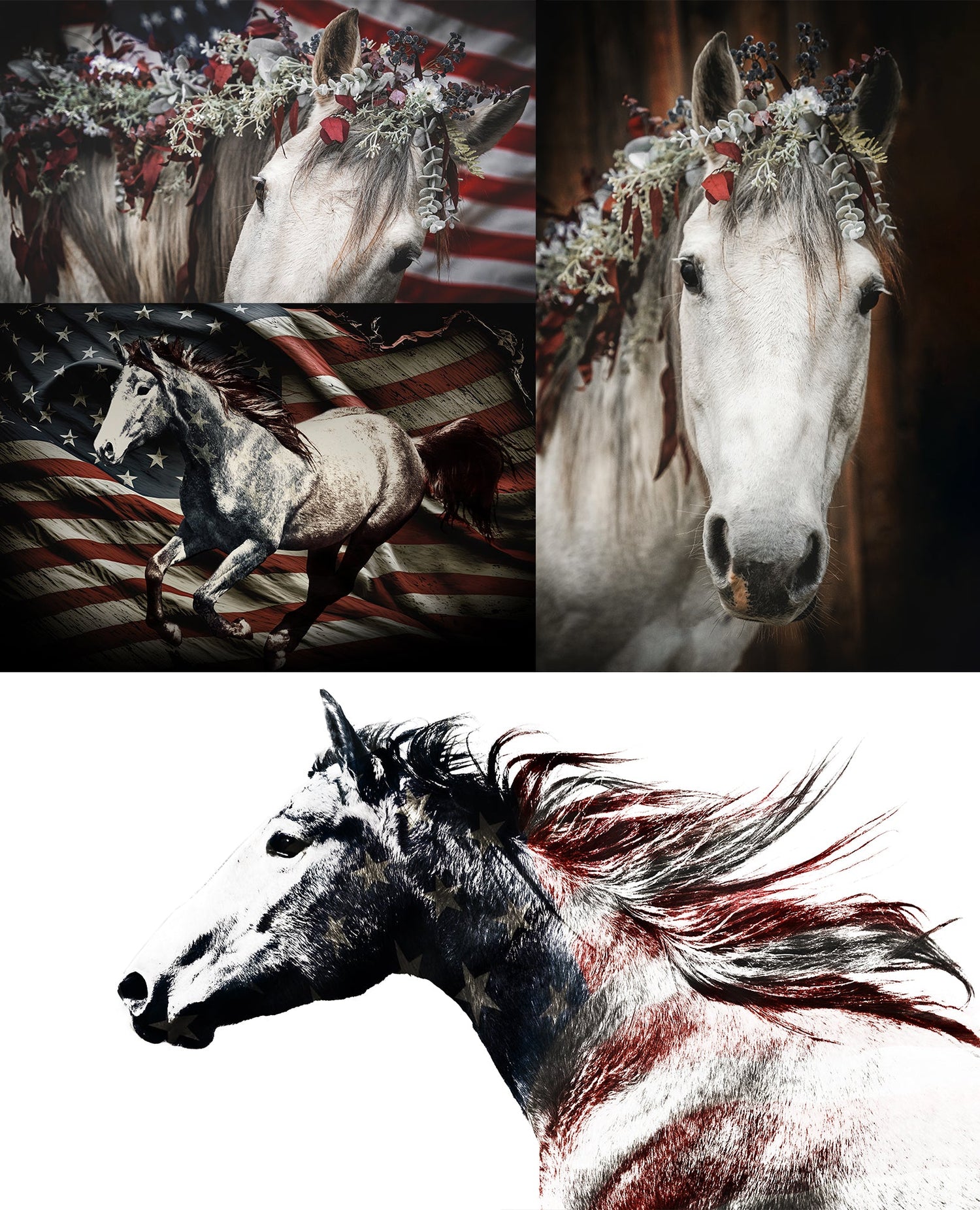 Photography, Art & Prints!