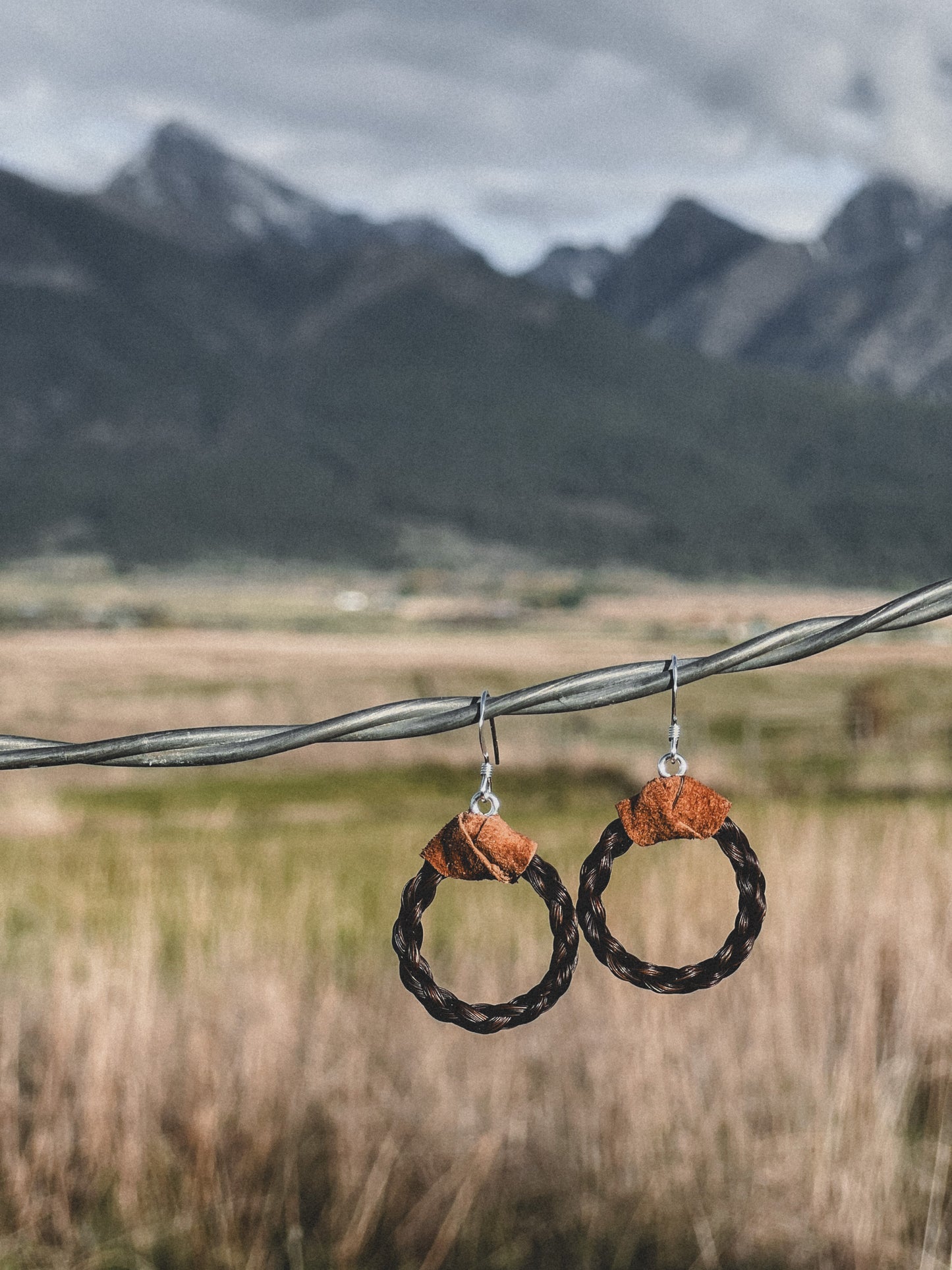 Custom Horse Hair Hoop Earrings!