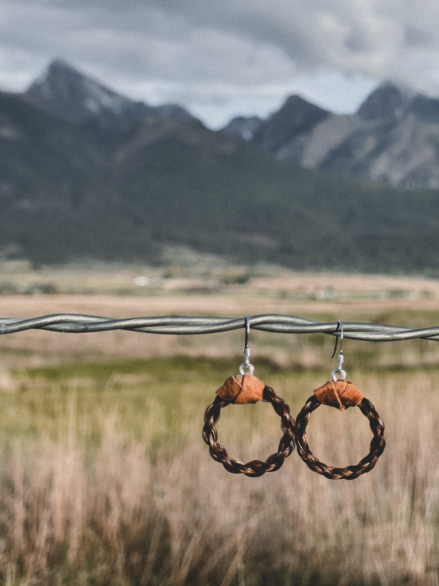 Custom Horse Hair Hoop Earrings!