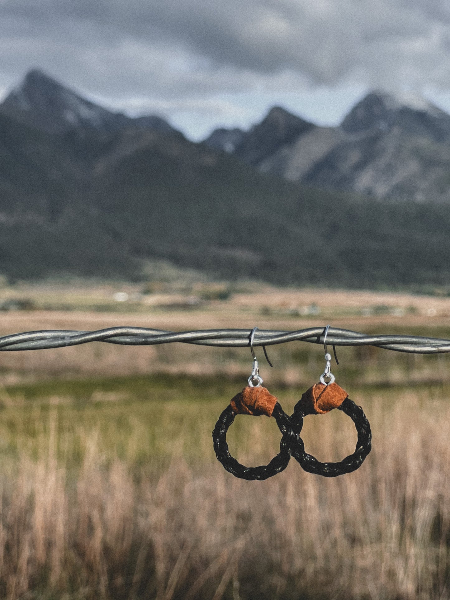 Custom Horse Hair Hoop Earrings!