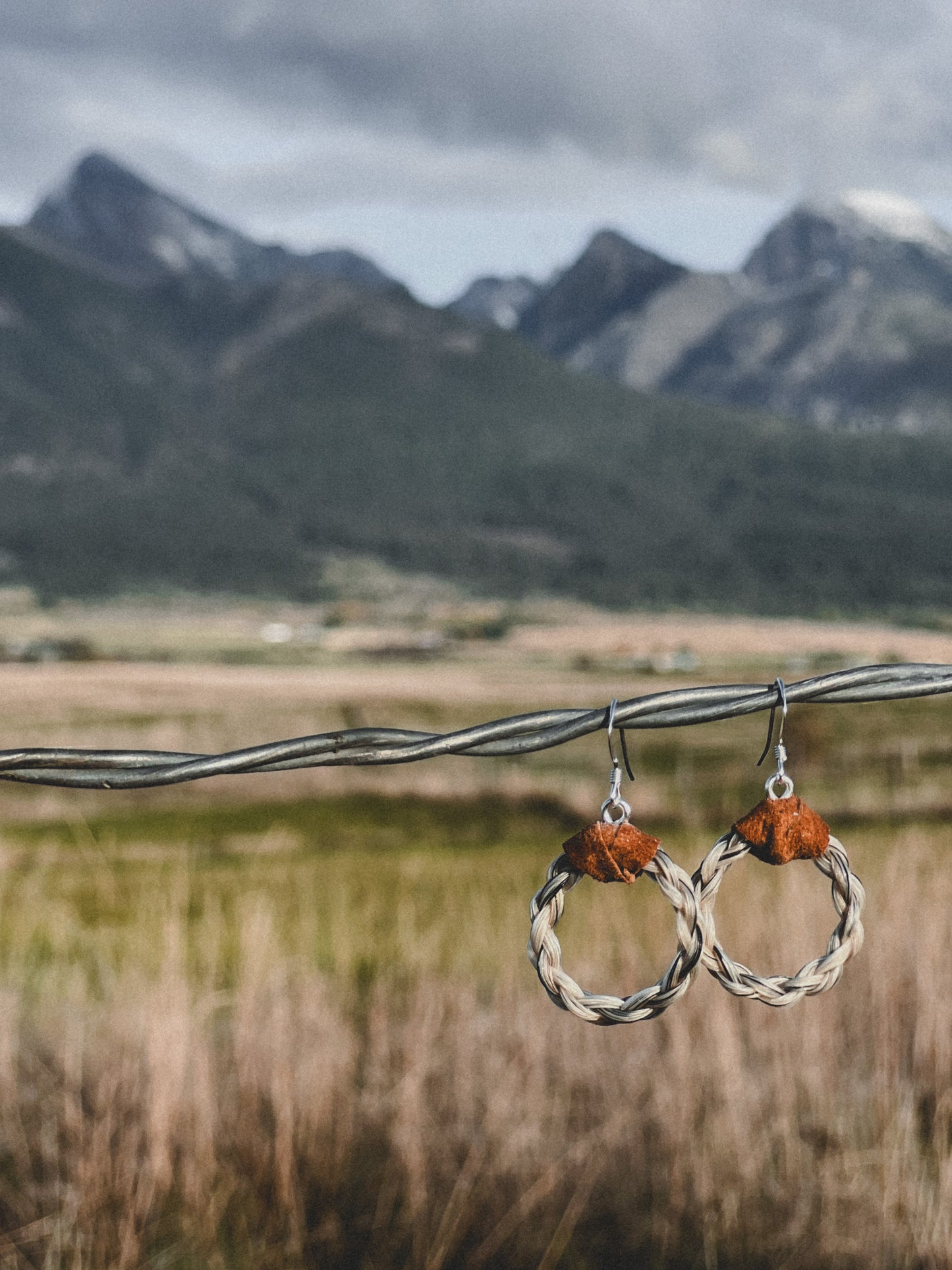 Custom Horse Hair Hoop Earrings!