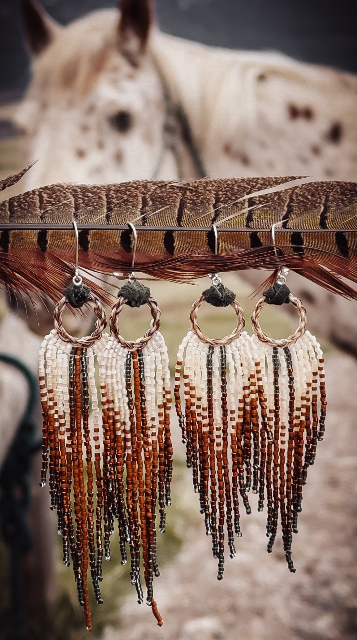 Outlaw Ombre's (longer earrings)