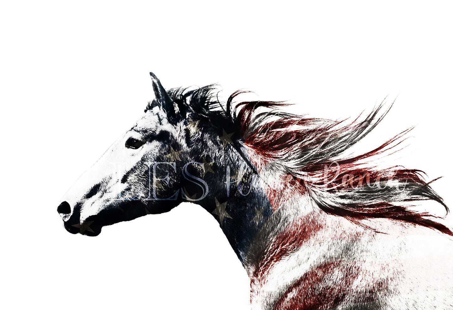 Lea's Red White & Blue Prints