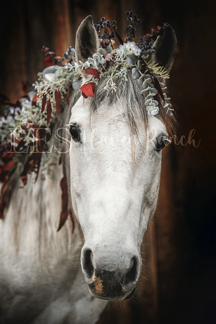Lea's Red White & Blue Prints