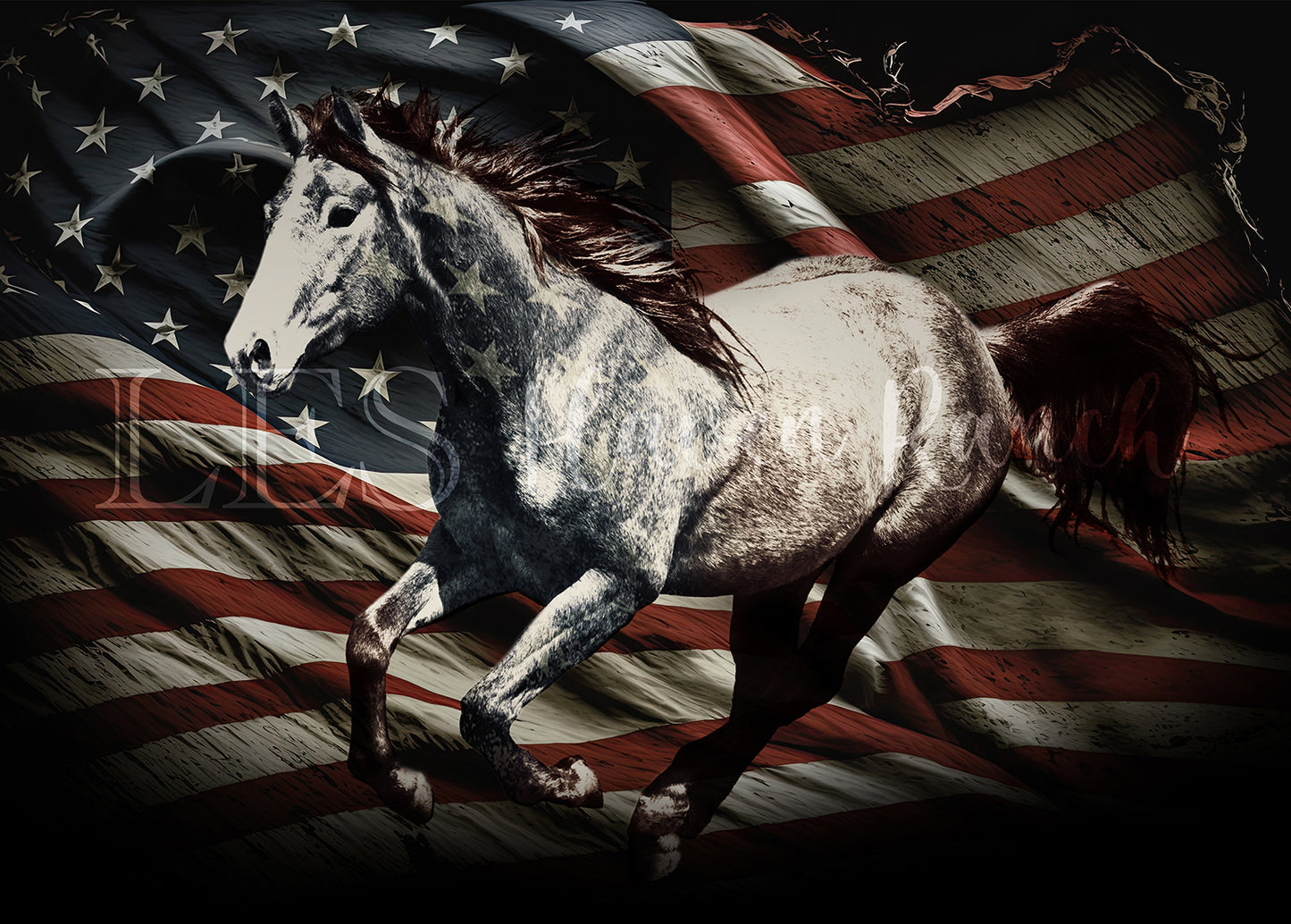 Lea's Red White & Blue Prints